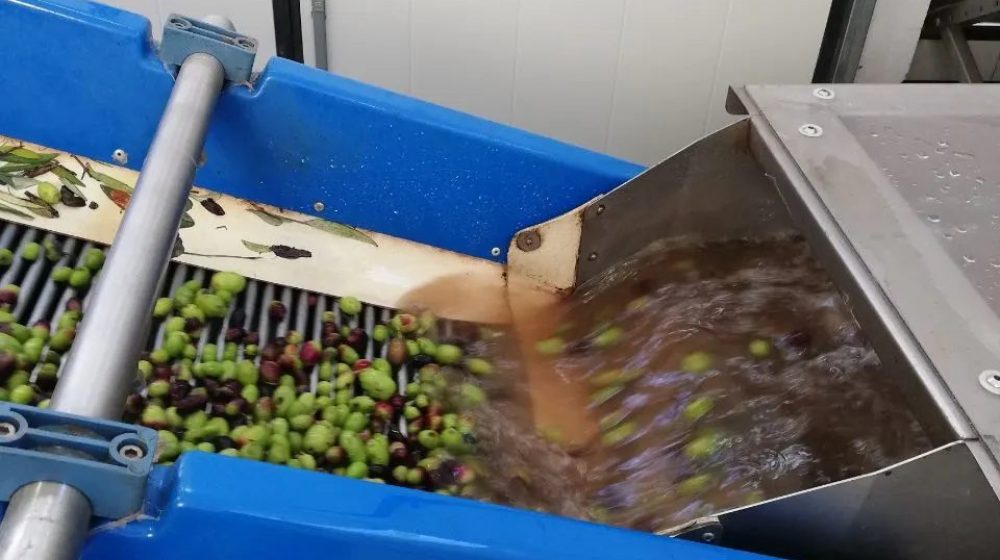 procedura-frantoio-olio-oliva-lavaggio